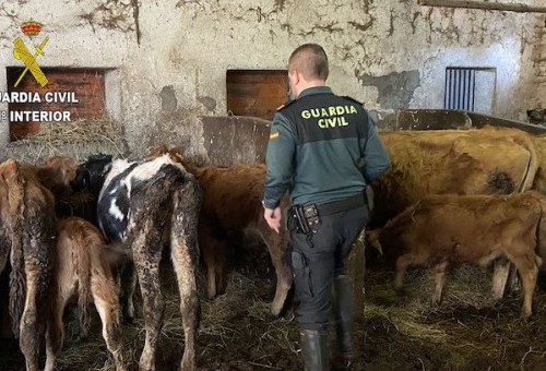 Agentes del SEPRONA investigan el abandono y la muerte de varios animales en Asturias