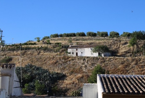 ¿Qué pasa si tengo una vivienda ilegal en suelo rústico? Nueva ley del suelo de Andalucía