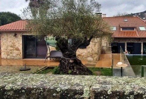 Construcciones ilegales: ¿Qué riesgos existen al transformar una vivienda sin licencia?